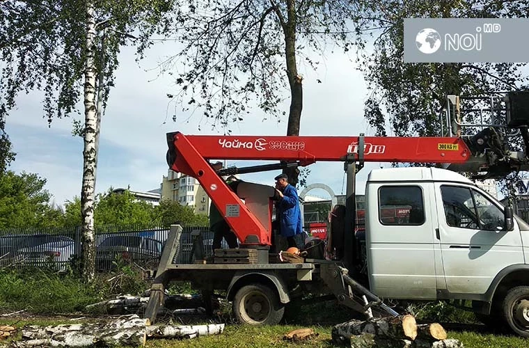 В столице опять рубят деревья: сейчас – на улице Студенческой