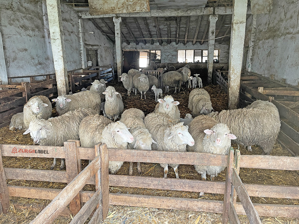 Вулканешты - На краю молдавской географии