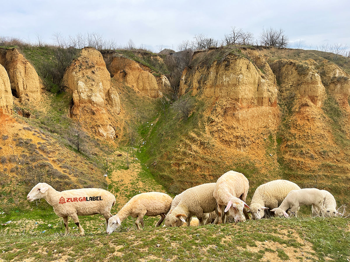 Вулканешты - На краю молдавской географии