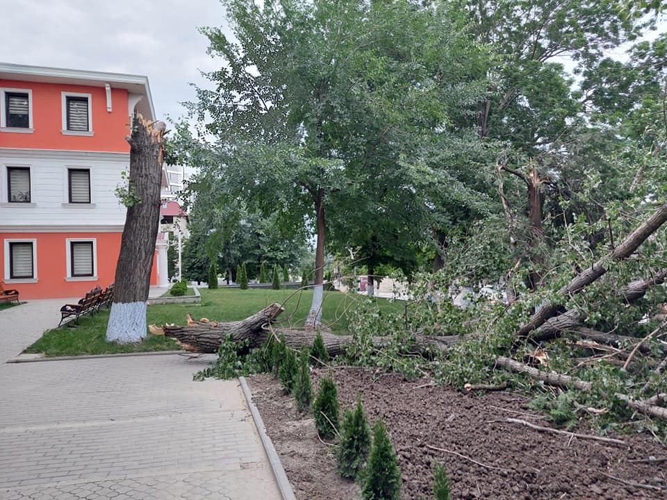 Непогода в Молдове: поваленные деревья, пыльная буря и обрыв линий электропередач (Видео)