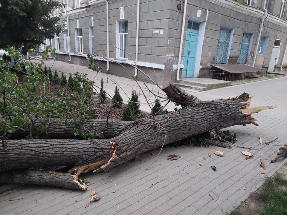 Непогода в Молдове: поваленные деревья, пыльная буря и обрыв линий электропередач (Видео)