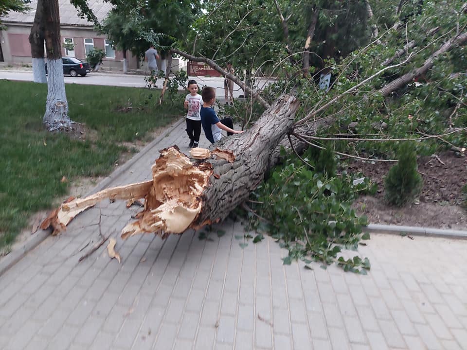 Непогода в Молдове: поваленные деревья, пыльная буря и обрыв линий электропередач (Видео)