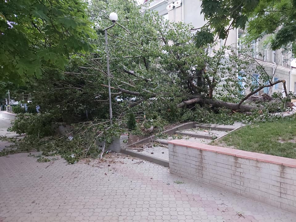 Непогода в Молдове: поваленные деревья, пыльная буря и обрыв линий электропередач (Видео)