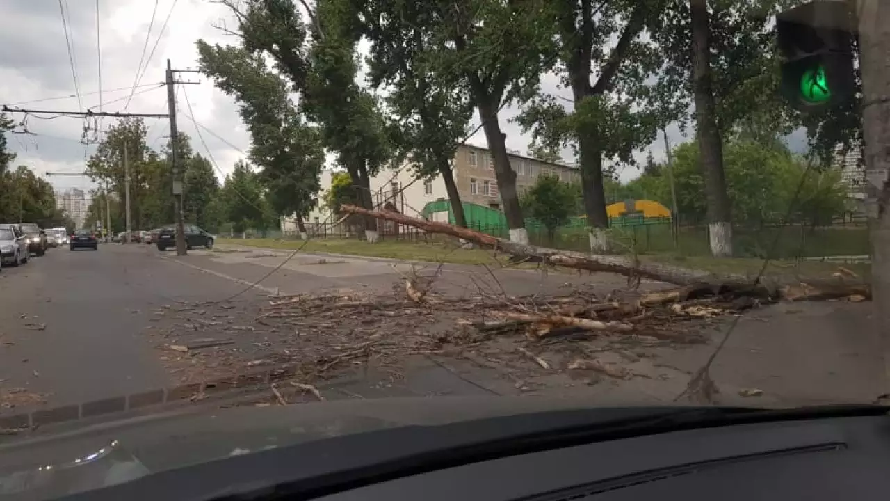 Непогода в Молдове: поваленные деревья, пыльная буря и обрыв линий электропередач (Видео)