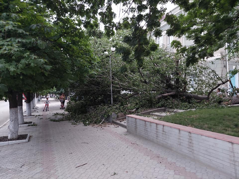 Непогода в Молдове: поваленные деревья, пыльная буря и обрыв линий электропередач (Видео)