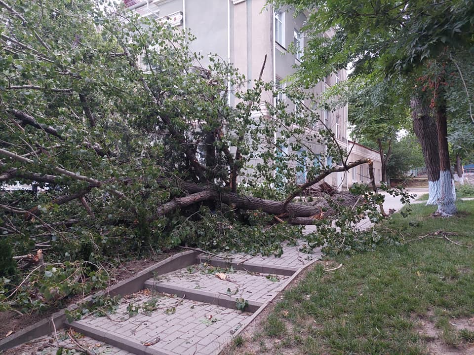 Непогода в Молдове: поваленные деревья, пыльная буря и обрыв линий электропередач (Видео)