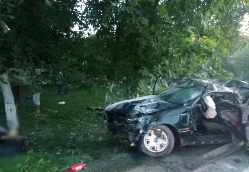 В Бричанах авто врезалось в дерево: 17-летний водитель скончался, двое пассажиров госпитализированы