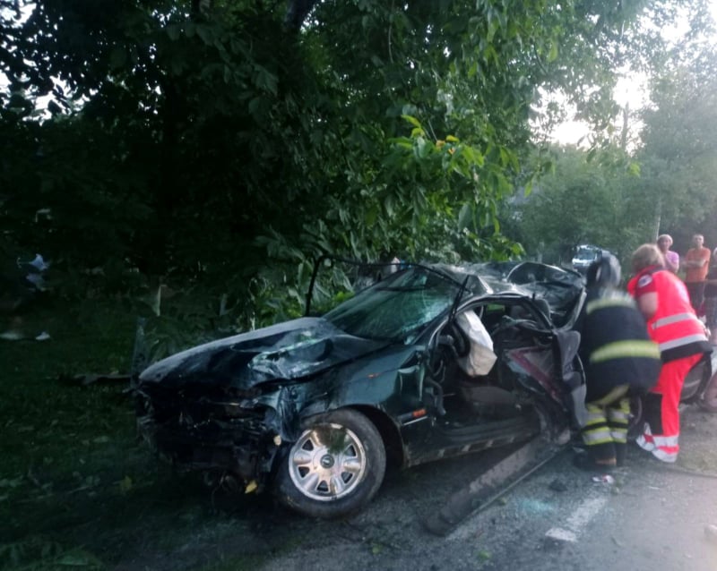 В Бричанах авто врезалось в дерево: 17-летний водитель скончался, двое пассажиров госпитализированы