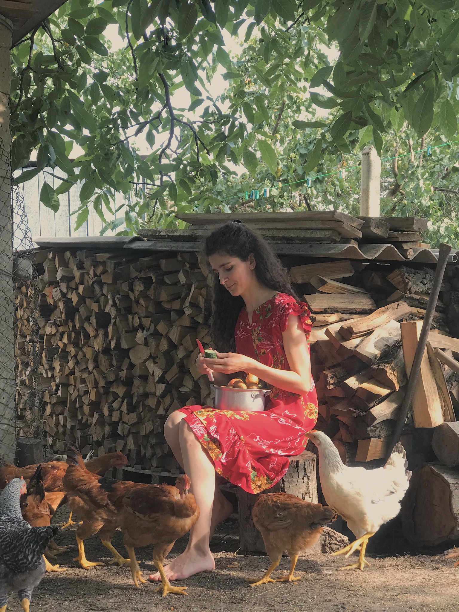 В Парламенте проходит выставка фоторабот «Жизнь молодежи в селе» (Фото)