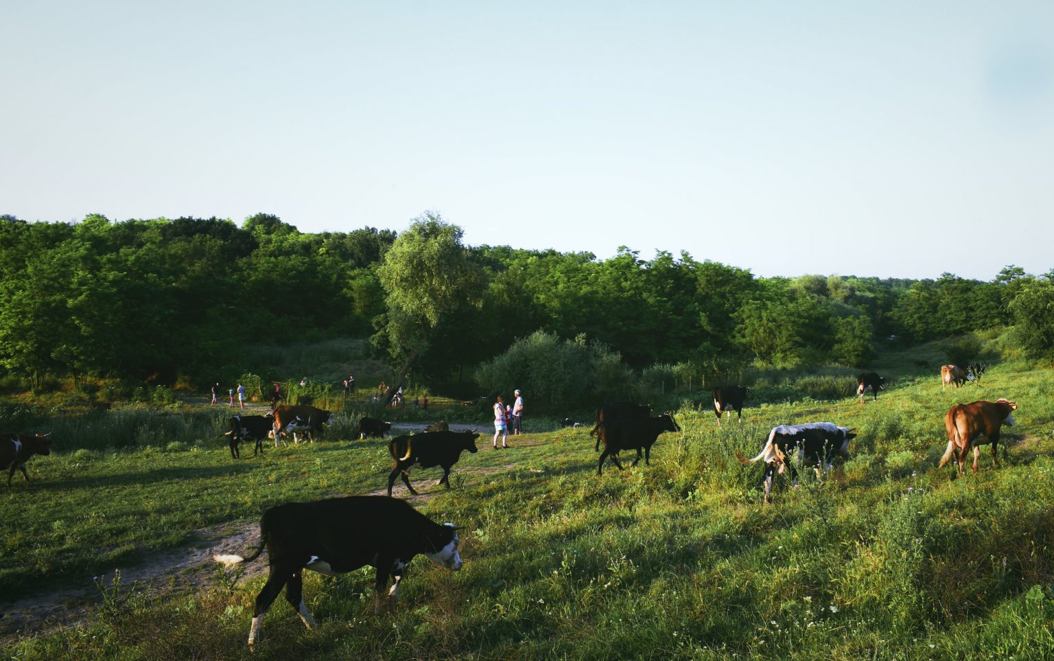 В Парламенте проходит выставка фоторабот «Жизнь молодежи в селе» (Фото)