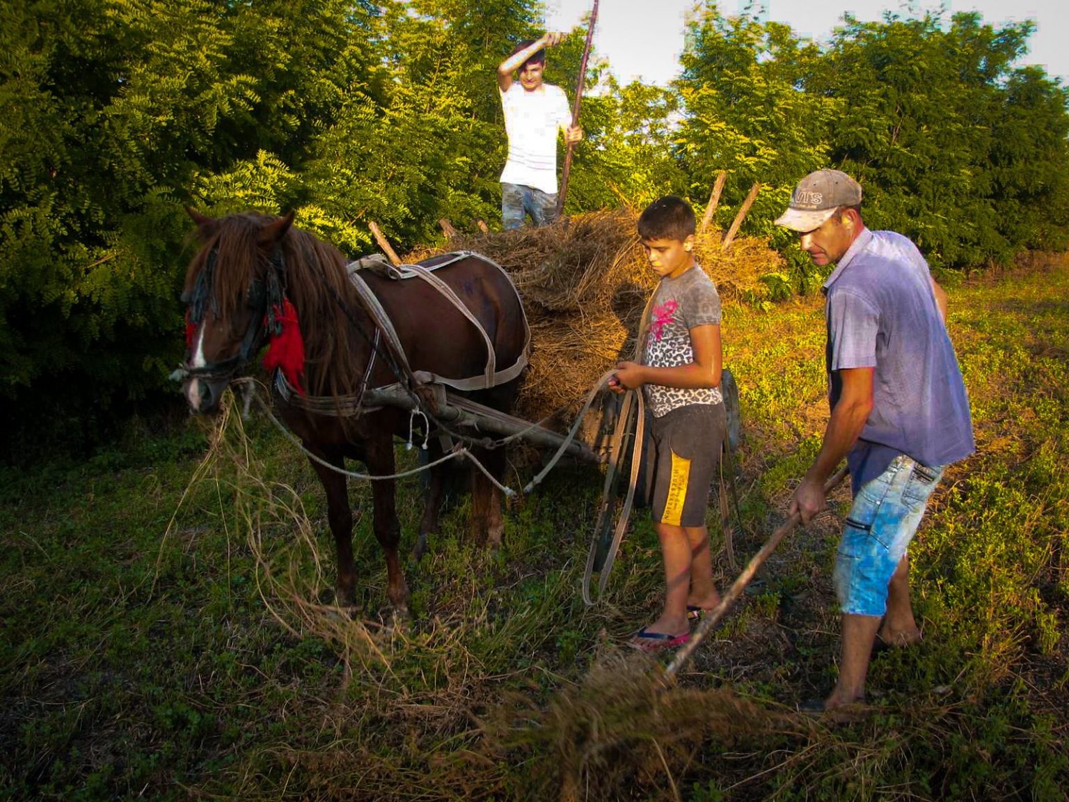 В Парламенте проходит выставка фоторабот «Жизнь молодежи в селе» (Фото)