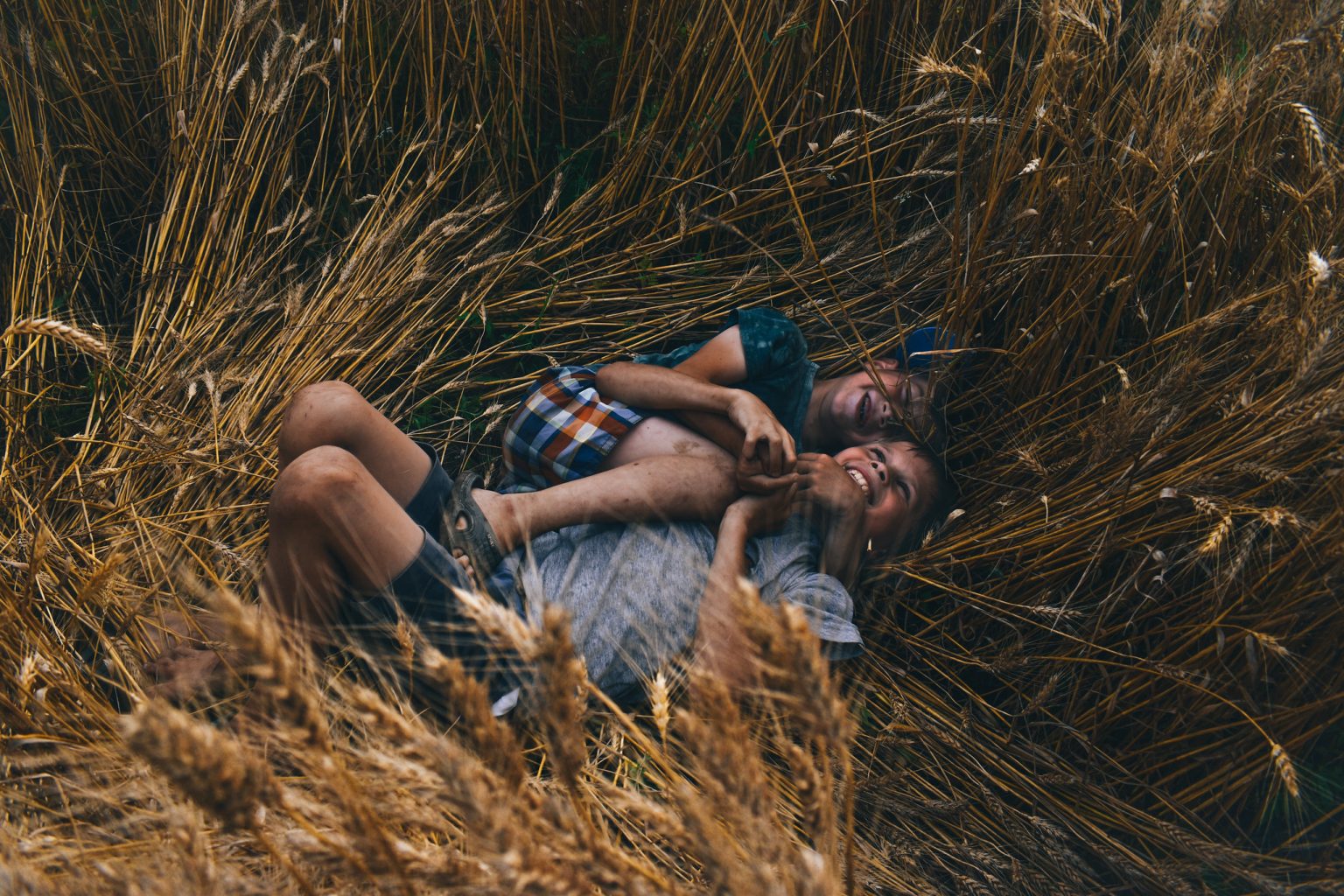 В Парламенте проходит выставка фоторабот «Жизнь молодежи в селе» (Фото)
