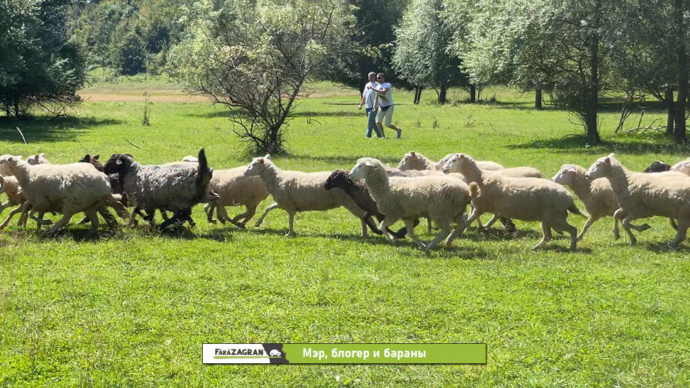 Сипотены - 30 километров молдавской красоты. Забег по Кодрам с бочкой вина на финише (Видео)