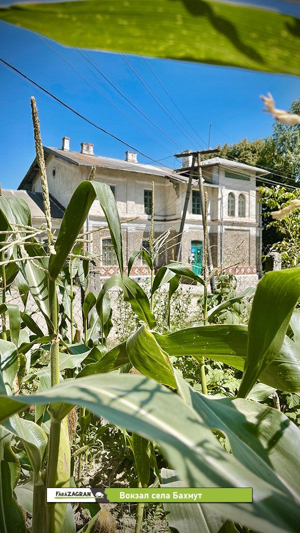 Сипотены - 30 километров молдавской красоты. Забег по Кодрам с бочкой вина на финише (Видео)