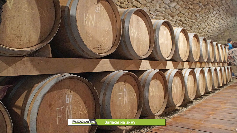 Сипотены - 30 километров молдавской красоты. Забег по Кодрам с бочкой вина на финише (Видео)