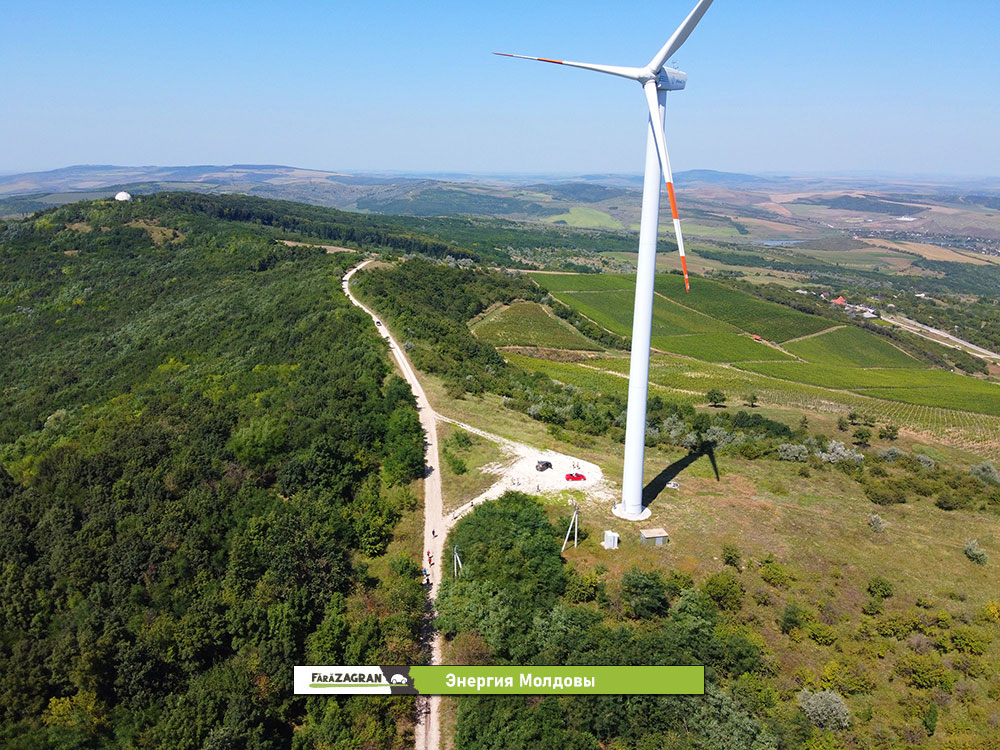 Сипотены - 30 километров молдавской красоты. Забег по Кодрам с бочкой вина на финише (Видео)