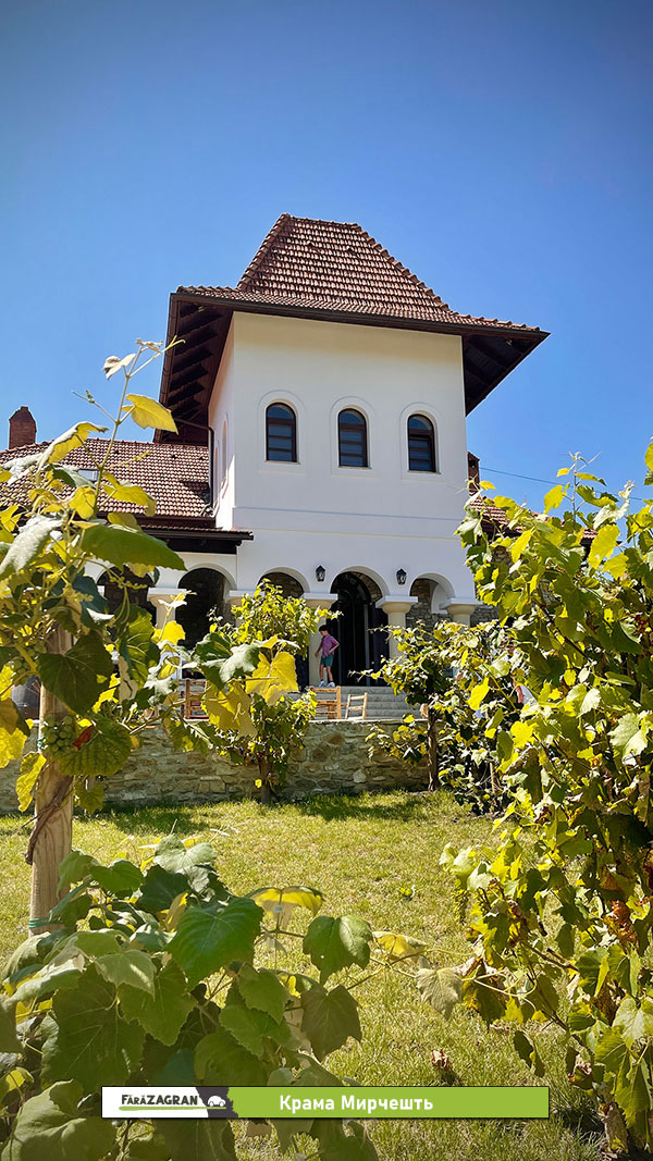 Сипотены - 30 километров молдавской красоты. Забег по Кодрам с бочкой вина на финише (Видео)