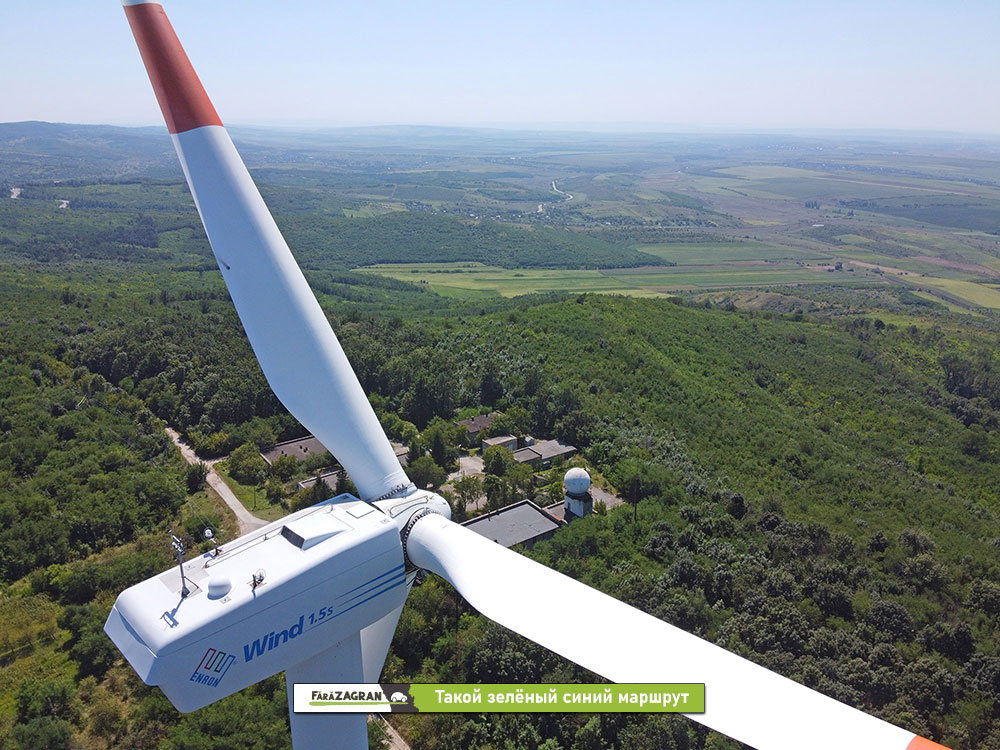 Сипотены - 30 километров молдавской красоты. Забег по Кодрам с бочкой вина на финише (Видео)