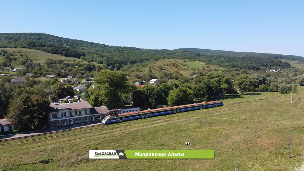 Сипотены - 30 километров молдавской красоты. Забег по Кодрам с бочкой вина на финише (Видео)