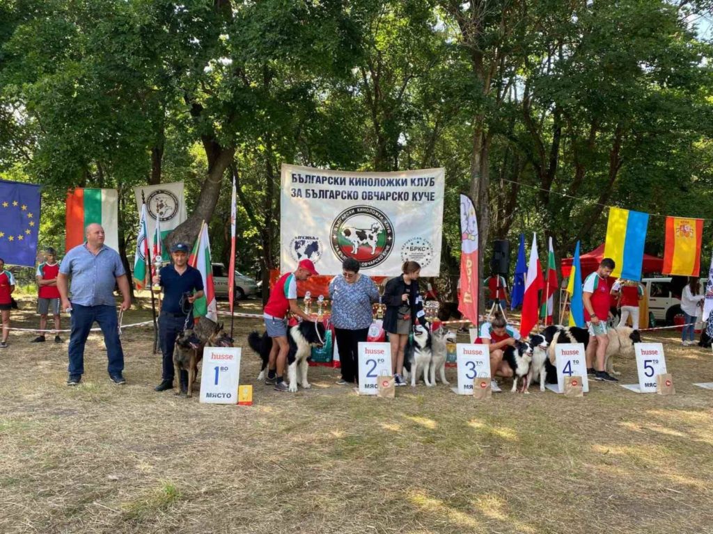 Четыре кубка и шесть медалей: кинологическая команда Погранполиции стала чемпионом Европы (Фото)