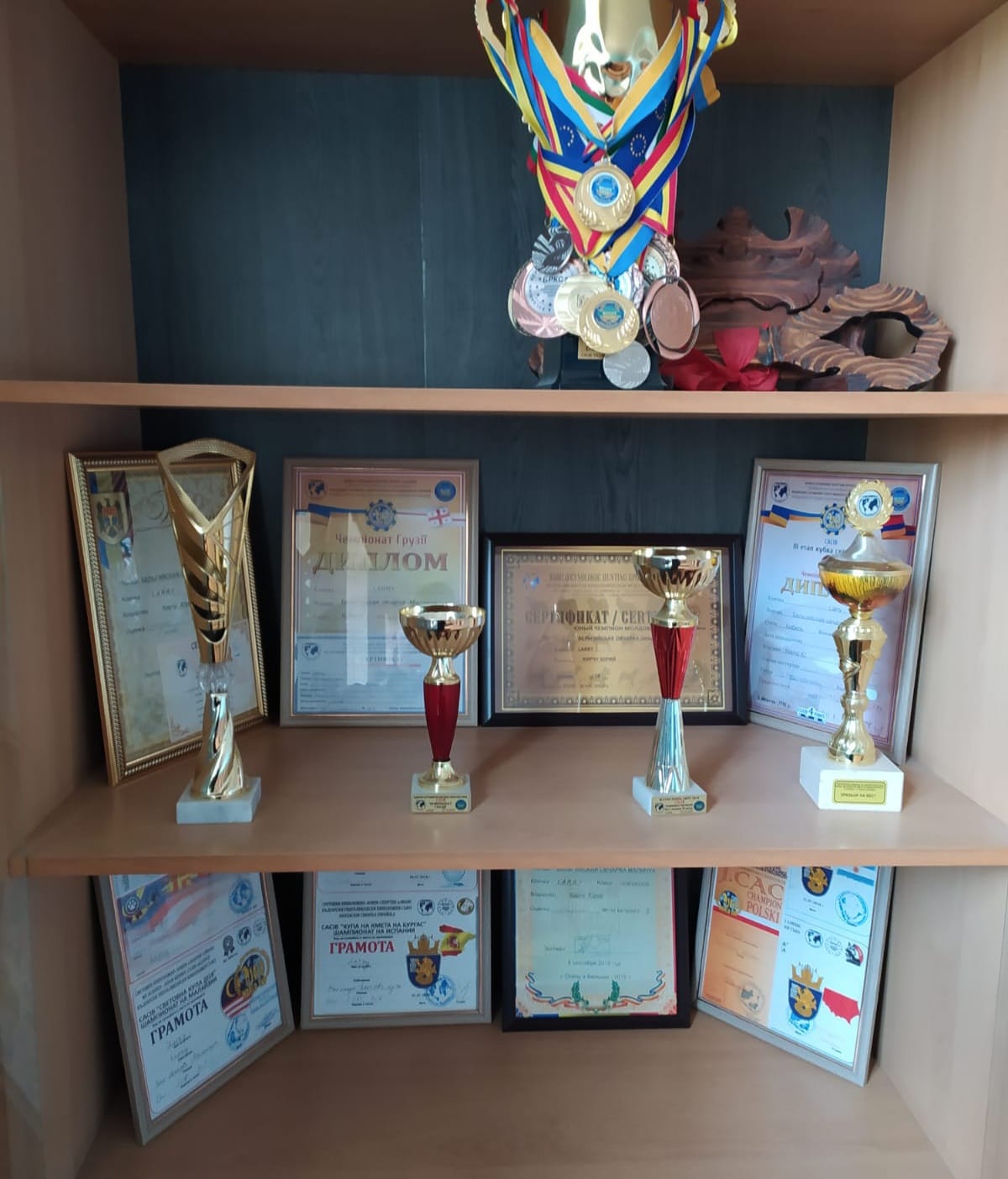 Четыре кубка и шесть медалей: кинологическая команда Погранполиции стала чемпионом Европы (Фото)