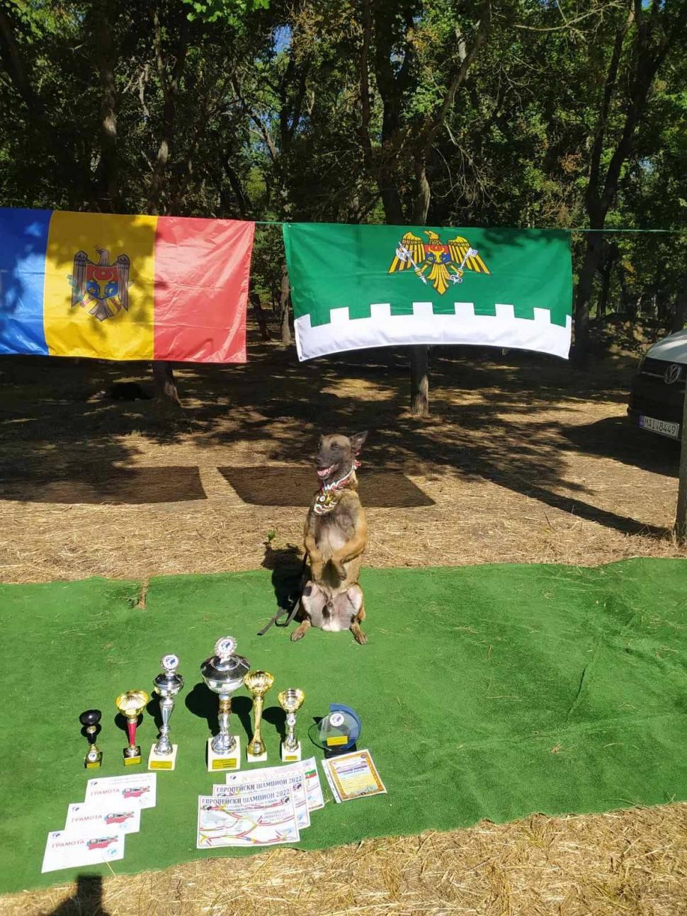 Четыре кубка и шесть медалей: кинологическая команда Погранполиции стала чемпионом Европы (Фото)