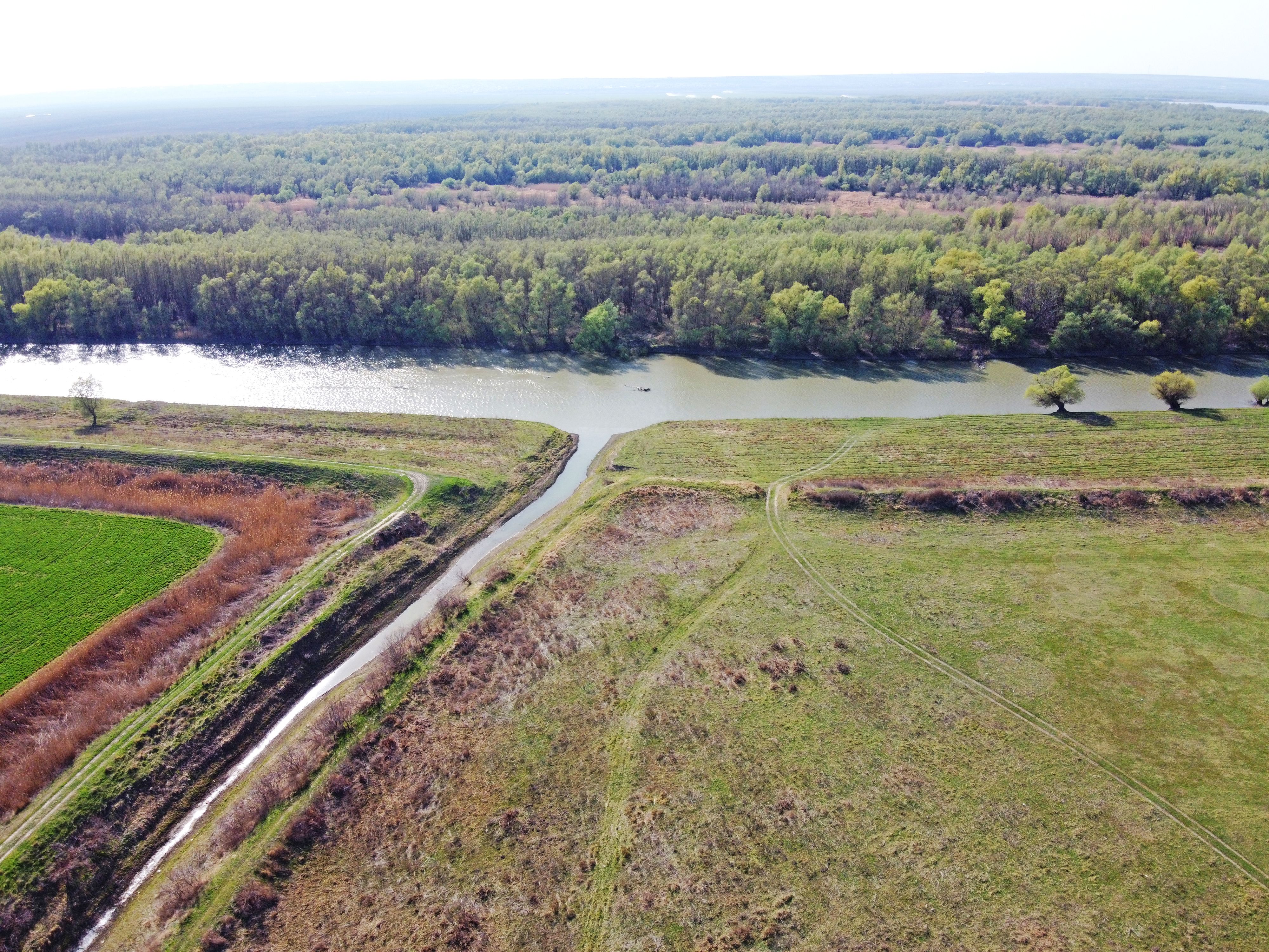 Телеги и овечья шкура. Молдаване возвращаются к древним ремеслам. Новое видео FărăZAGRAN
