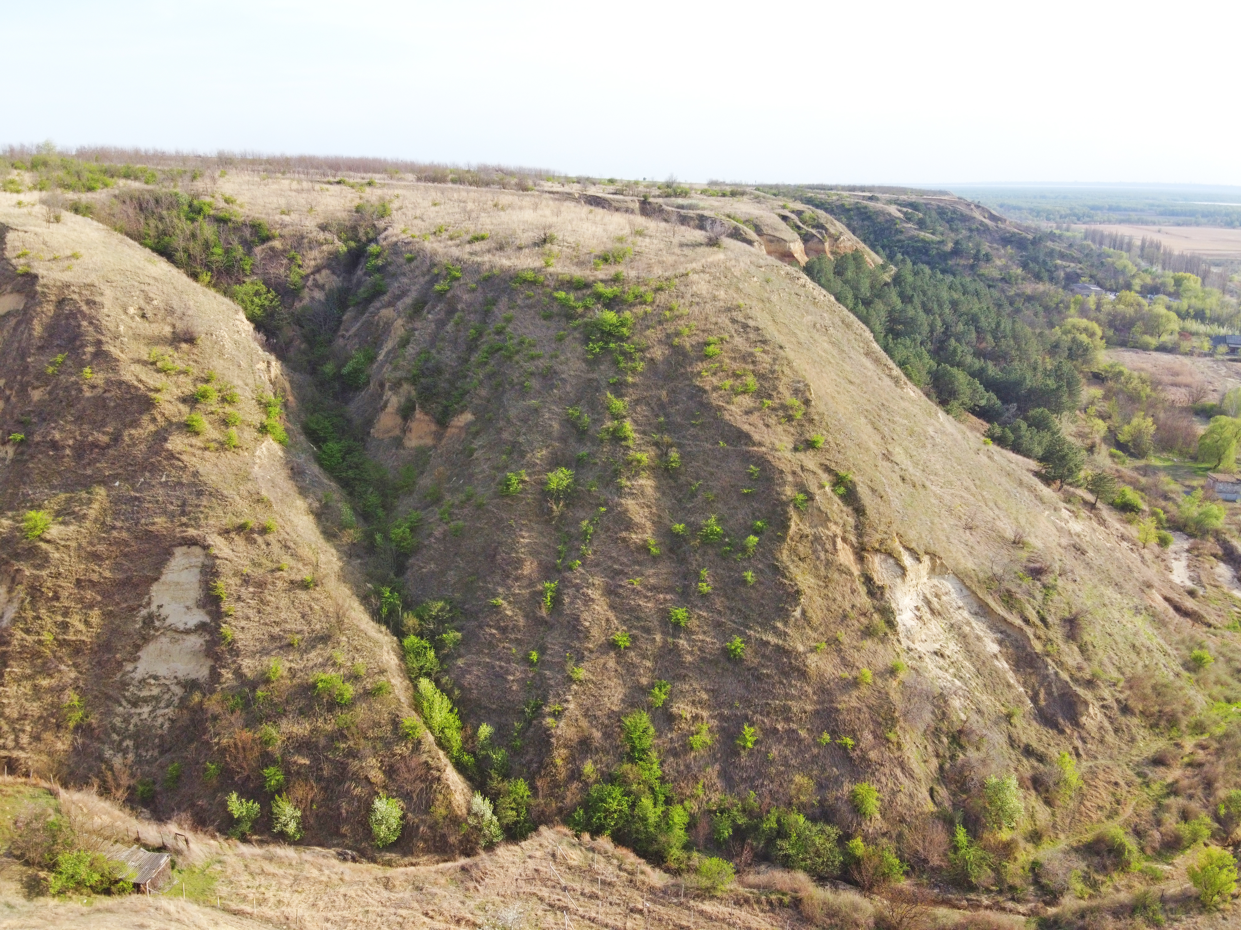 Телеги и овечья шкура. Молдаване возвращаются к древним ремеслам. Новое видео FărăZAGRAN