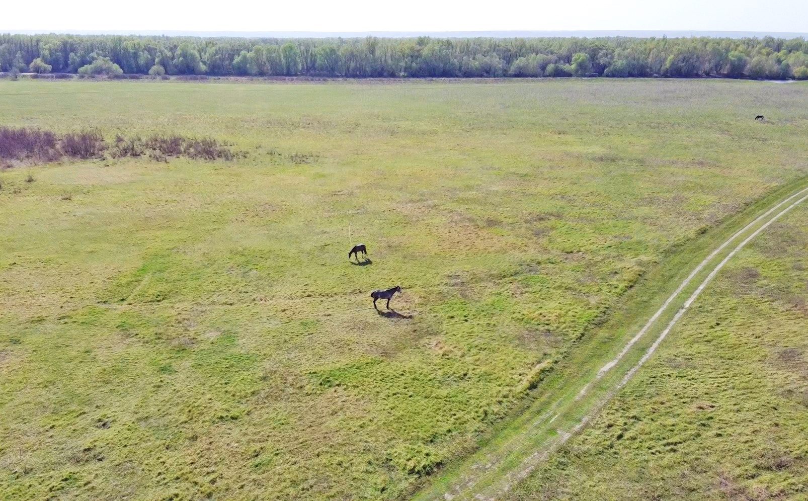 Телеги и овечья шкура. Молдаване возвращаются к древним ремеслам. Новое видео FărăZAGRAN