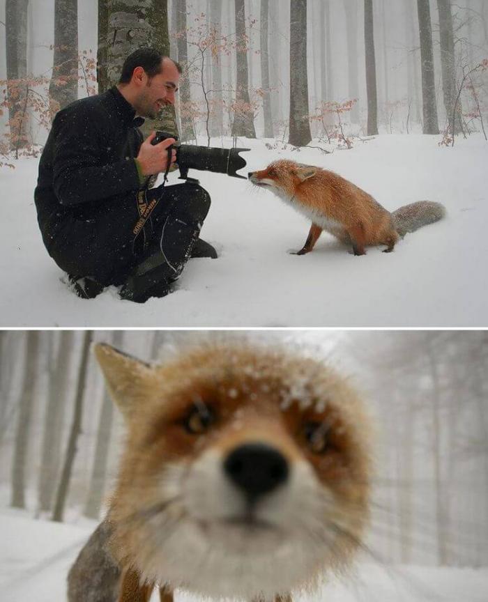 Фотограф дикой природы. Уникальные снимки