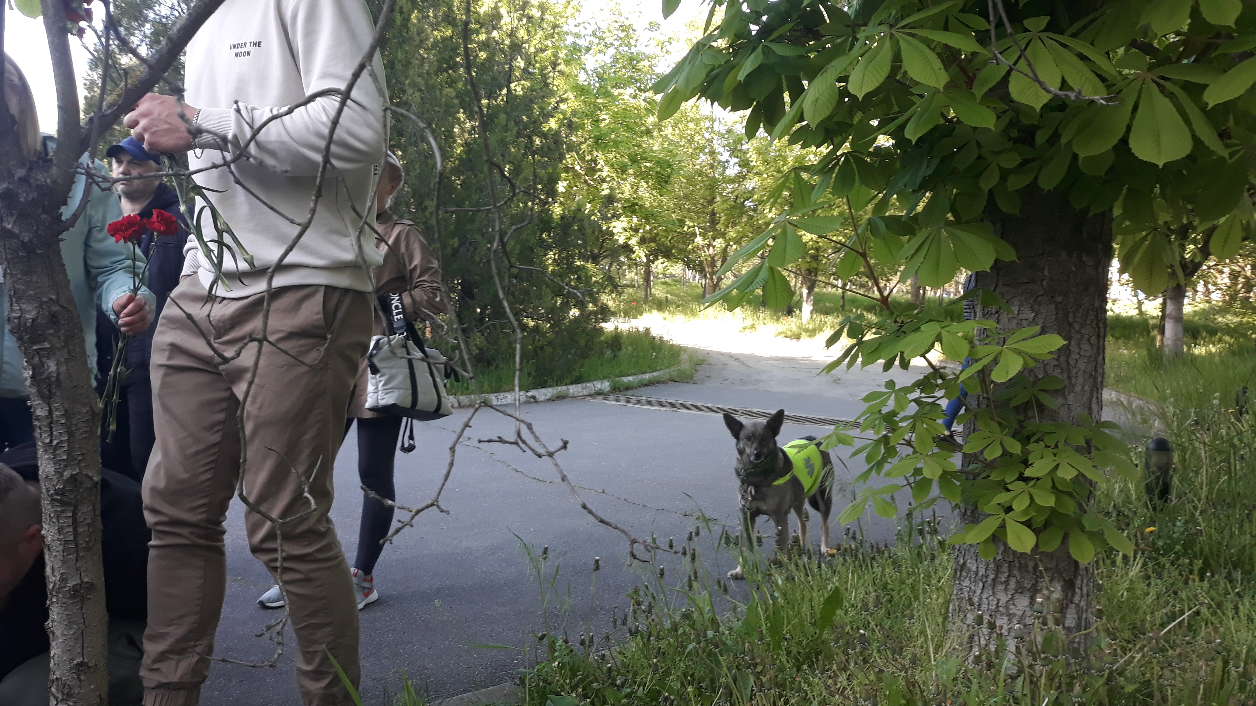 У посольства Украины в Кишинёве граждане почтили память погибших 2 мая 2014 года в Одессе (Видео/Фото)