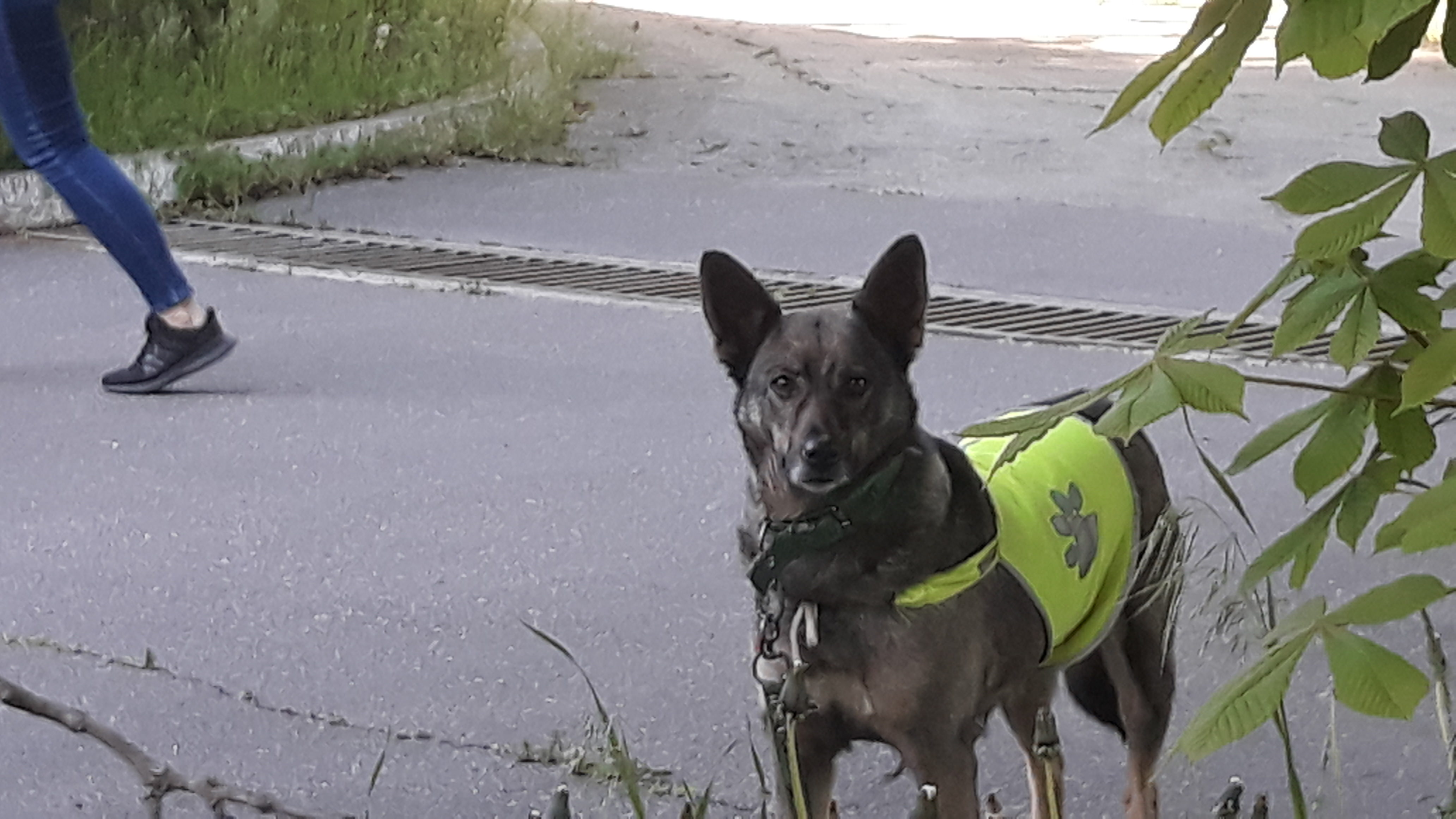 У посольства Украины в Кишинёве граждане почтили память погибших 2 мая 2014 года в Одессе (Видео/Фото)